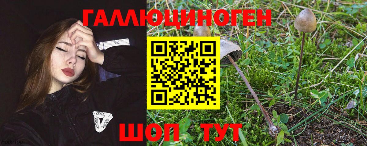 Галлюциногенные грибы мицелий  Вход с VPN  Ачинск 